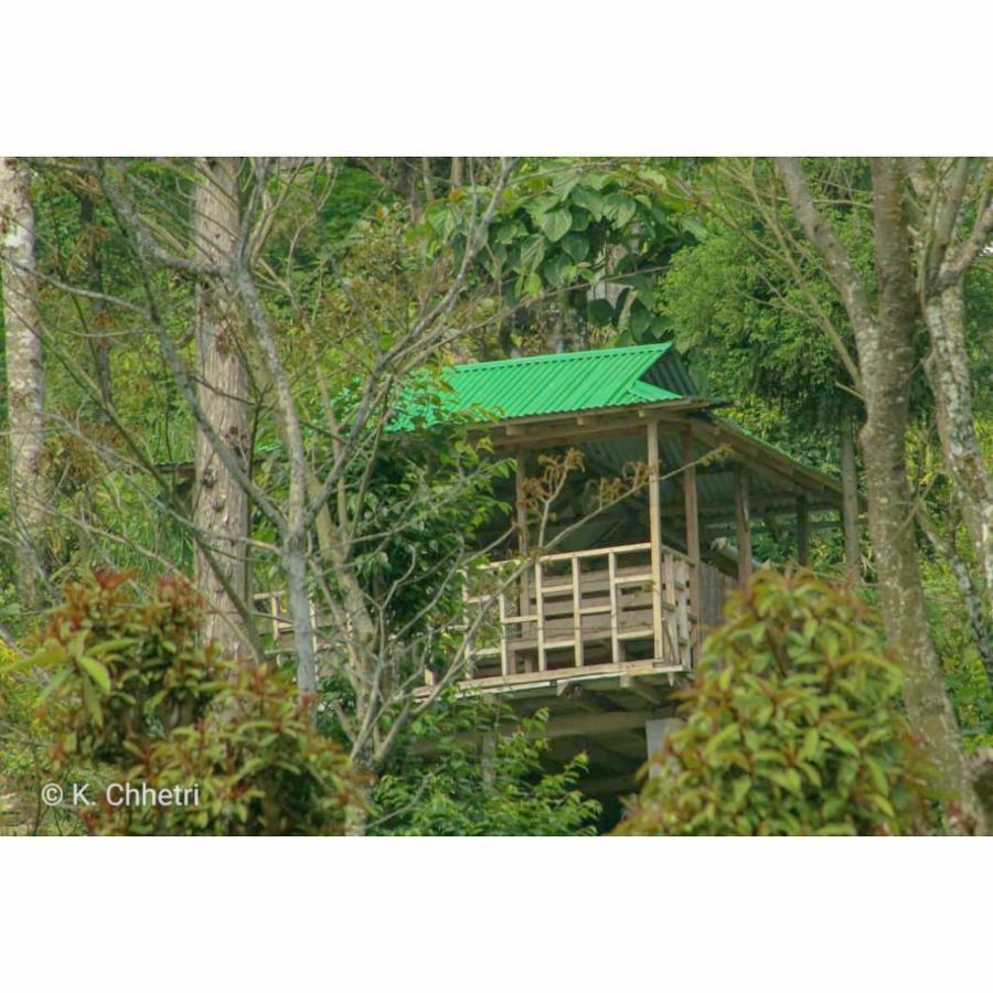 Suma Aavaas Farmstay Darjeeling  Bagian luar foto